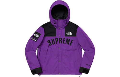 Supreme The North Face Arc Logo Mountain Parka