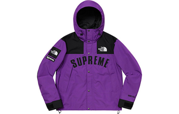 Supreme The North Face Arc Logo Mountain Parka