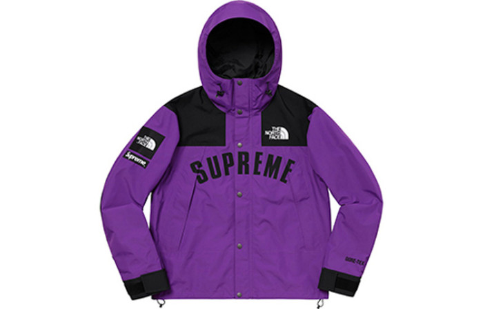 Supreme The North Face Arc Logo Mountain Parka