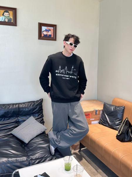 Clothes  Alexander Wang 20251022