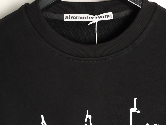 Clothes  Alexander Wang 20251022