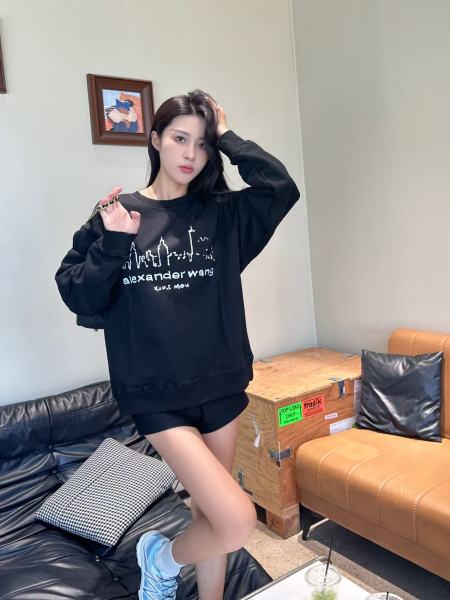 Clothes  Alexander Wang 20251022