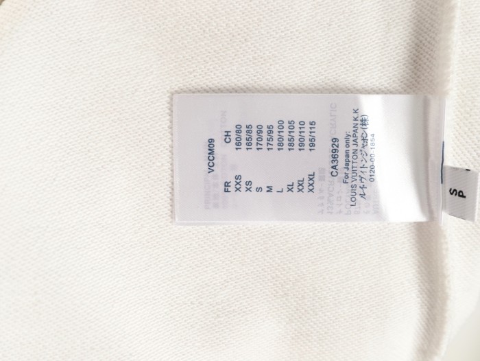 Clothes Louis Vuitton  20251022