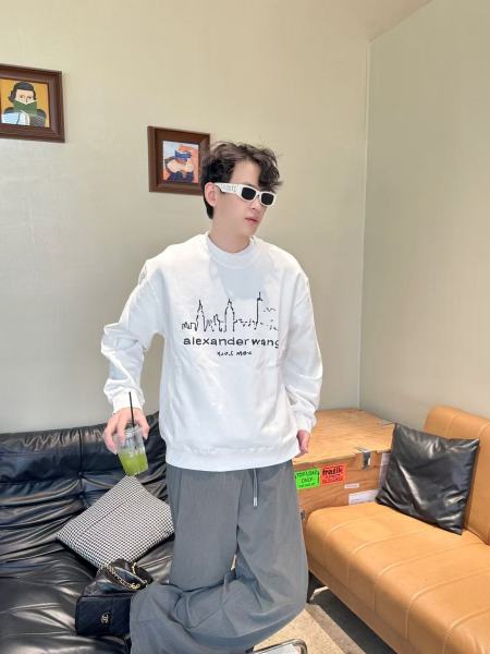 Clothes  Alexander Wang 20251022