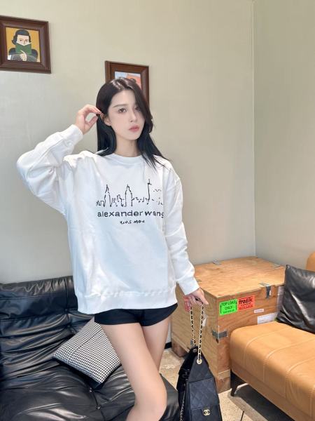 Clothes  Alexander Wang 20251022