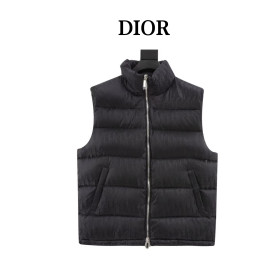 Clothes Dior 20251104