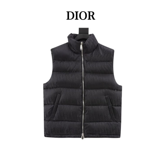 Clothes Dior 20251104