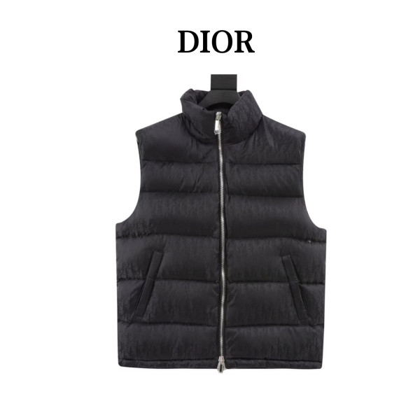 Clothes Dior 20251104