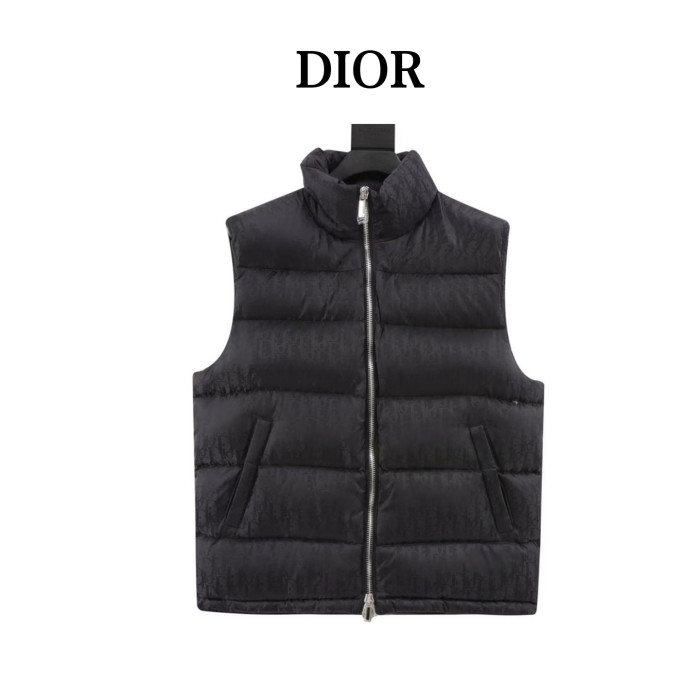 Clothes Dior 20251104