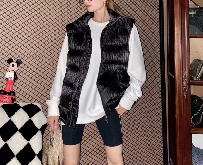 Clothes Dior 20251104