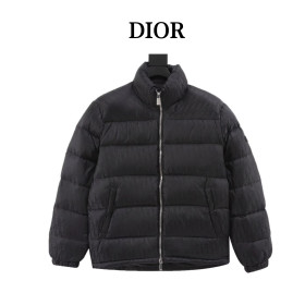Clothes Dior 20251104