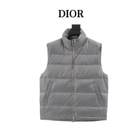 Clothes Dior 20251104
