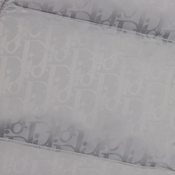 Clothes Dior 20251104