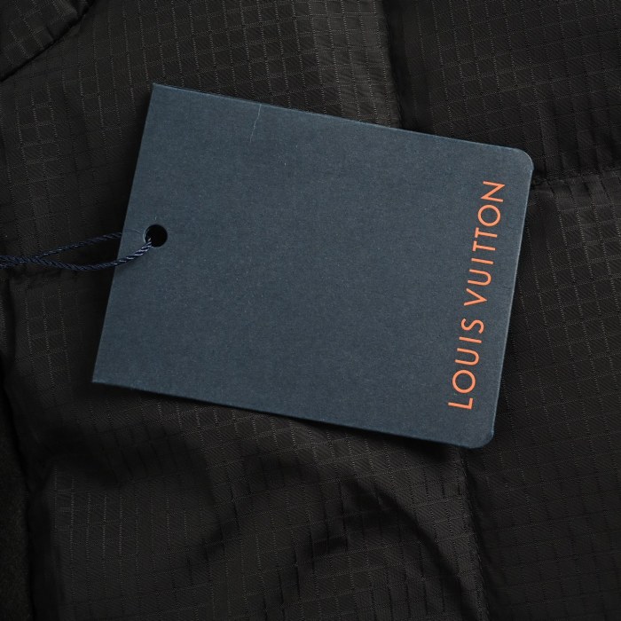 Clothes Louis Vuitton 20251106