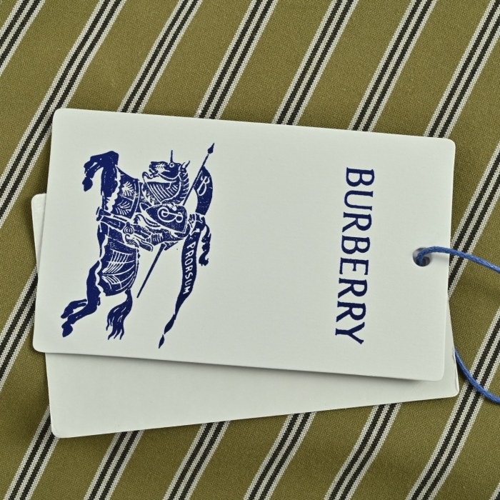 Clothes Burberry 20251106