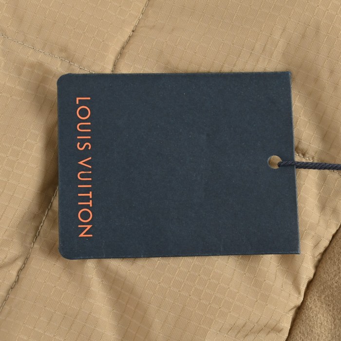 Clothes Louis Vuitton 20251106