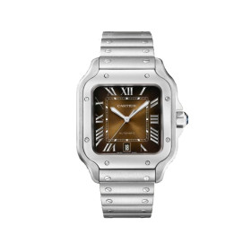CARTIER Automatic Mechanical Movement Men's Watches Watch 39.8mm Brown Watch Dial Stainless Steel Watchband