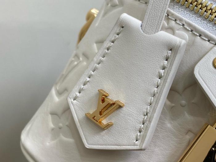 Louis Vuitton Vanity PM M25219 size 19*13*11 cm