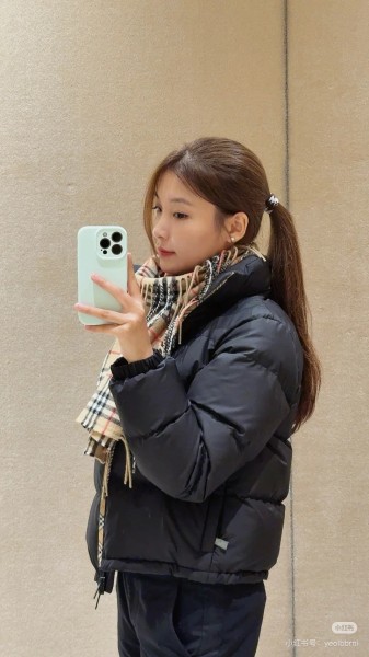 Burberry High Neck Puffer Jacket