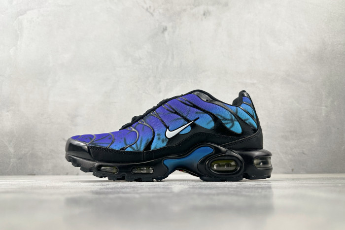 Nike Air Max Plus 25th Anniversary