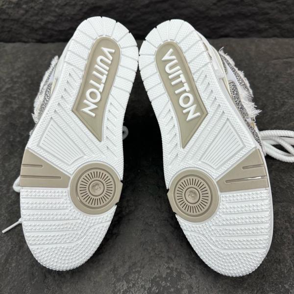 LOUIS VUITTON Trainer Skate Low Top Skateboard Shoes