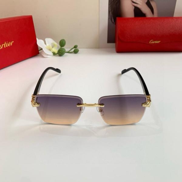 Cartier Frameless Rectangular Sunglasses