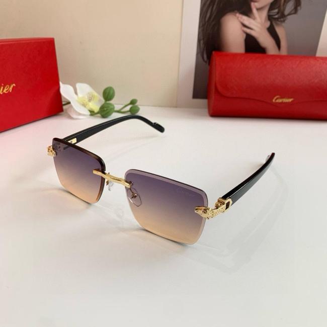 Cartier Frameless Rectangular Sunglasses