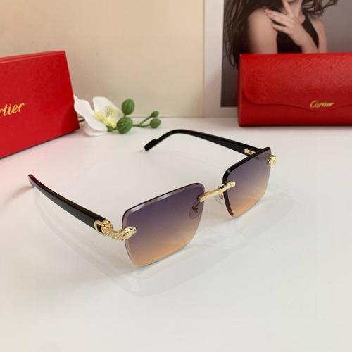 Cartier Frameless Rectangular Sunglasses