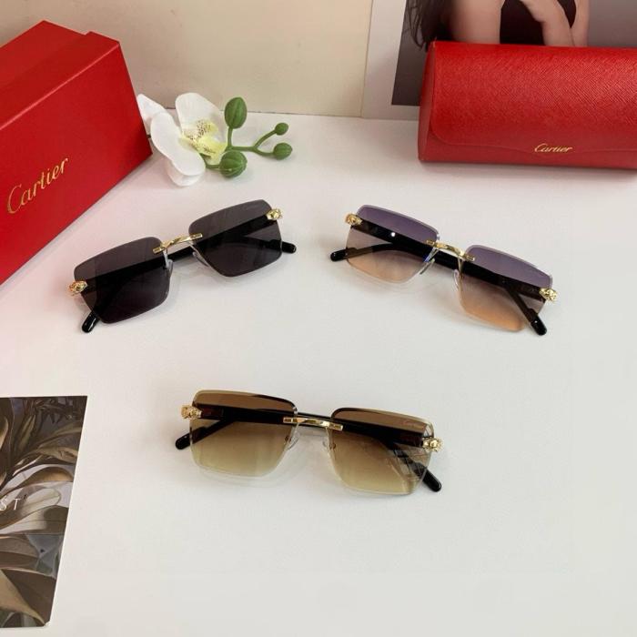 Cartier Frameless Rectangular Sunglasses