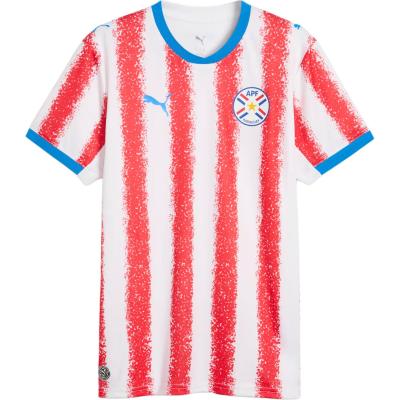 PUMA  Paraguay 26/27 Home Men's Soccer Jersey