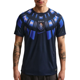 Nike Dri Fit 26/27 Soccer Jersey Men's