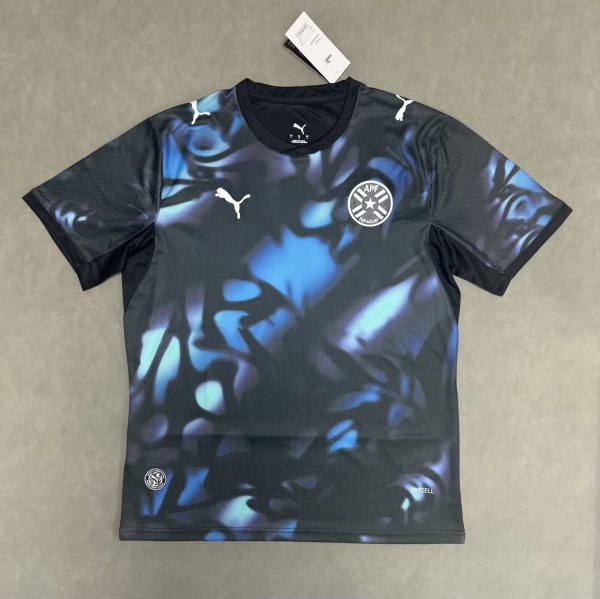 PUMA Paraguay 26/27 Away Men's Soccer Jersey