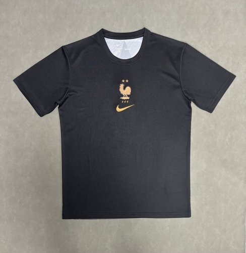 Nike Fff Premium 26/27 Goalkeeper Men's Nike Soccer T-Shirt