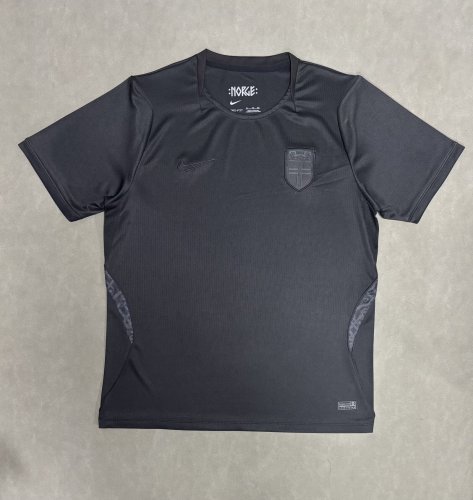 Nike Norway 2026 Stadium Away Men's Nike Soccer Dri-FIT Replica Shorts