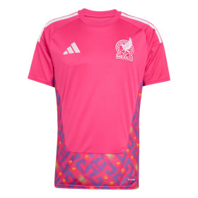 Adidas Free Shipping With AdiClub Mexico 26 Home Goalkeeper Jersey