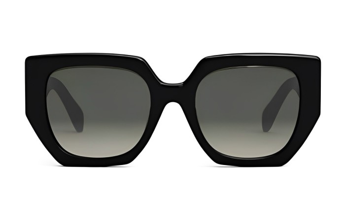 CELINE Eyewear Irregular Frame Sunglasses