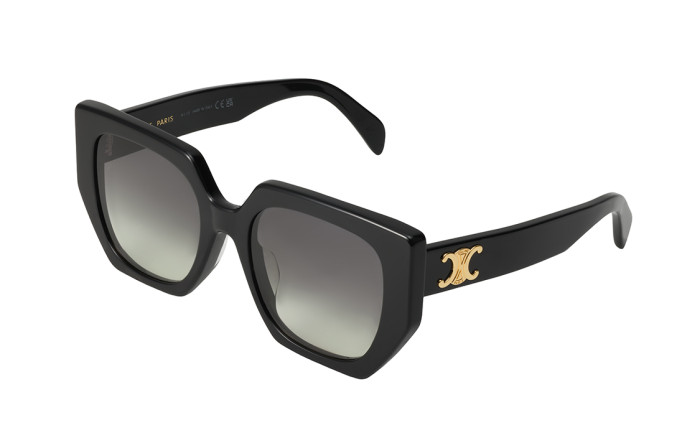 CELINE Eyewear Irregular Frame Sunglasses