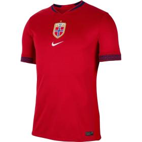 Nike Norway 2025 Stadium Home (Women's Team) Men's Nike Dri-FIT Soccer Replica Jersey