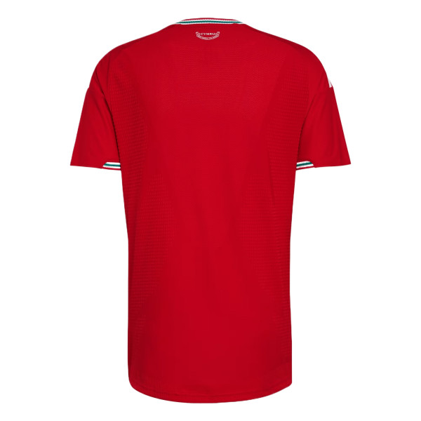 Adidas Wales 26 Home Authentic Jersey Soccer Jersey Men's