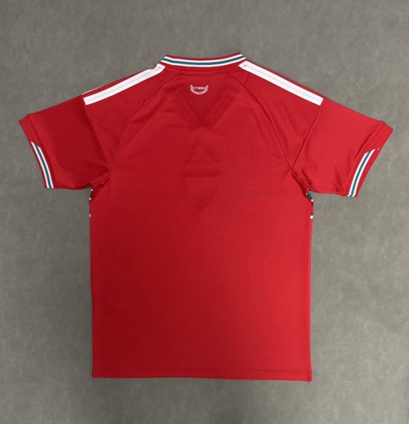Adidas Wales 26 Home Authentic Jersey Soccer Jersey Men's