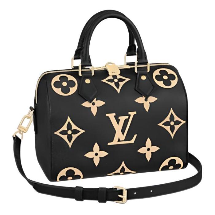 LOUIS VUITTON Speedy 25 M58947 size L25cm W15cm H19cm