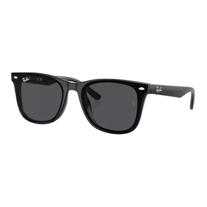 RayBan Injection Molding Square Sunglasses Unisex Black