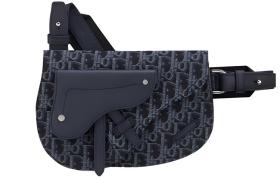 DIOR Saddle Leather Saddle Bag, Sling Bag, Crossbody Bag, Fanny Pack Men's Blue 1ADPO095YKY-H55E size 24*17.5cm