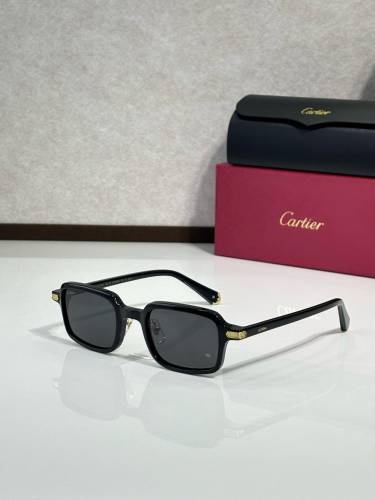 Cartier Frame Sunglasses