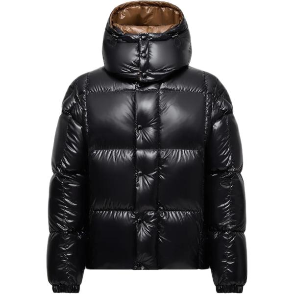 Moncler Parana Series Down Jacket Unisex