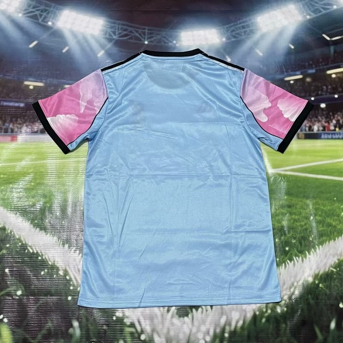 25/26 liverpool Special Edition football Jersey