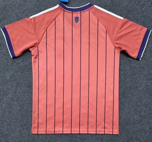 24/25 Scotland Away football Jersey