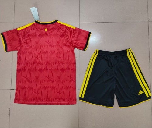 25/26 Belgium home Adult Set