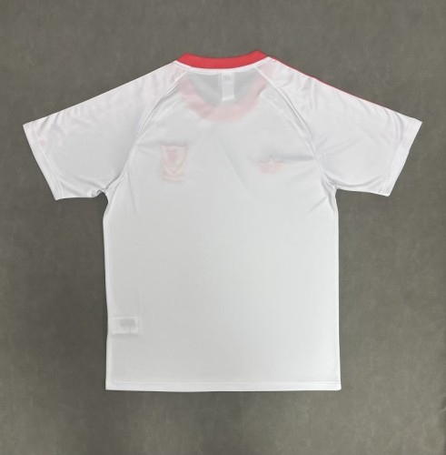 26/27 liverpool Special Edition football Jersey