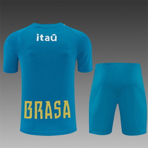26/27 Brazil Short sleeve Adult training suit